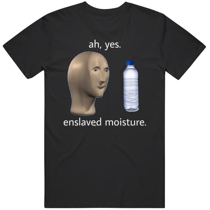 Ah Yes Enslaved Moisture Meme T Shirt