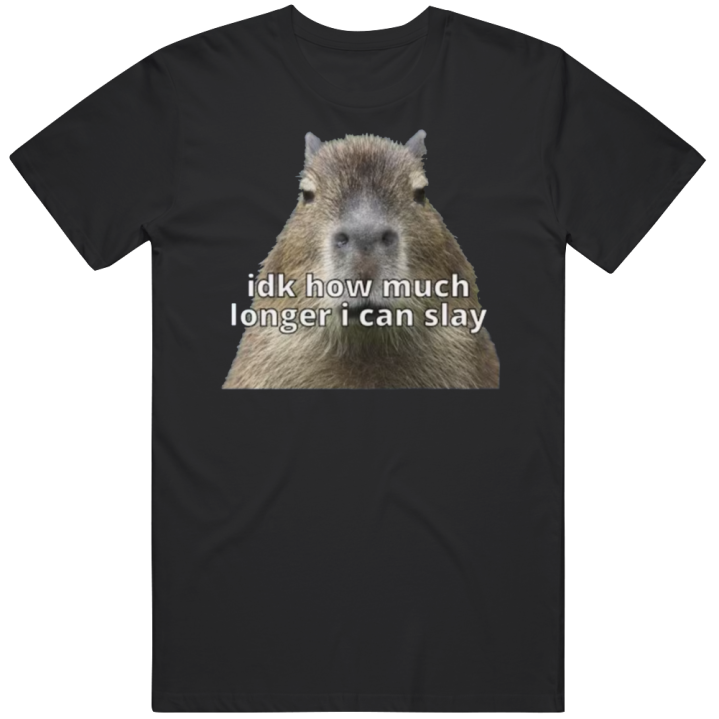 Idk How Much Longer I Can Slay Meme T Shirt