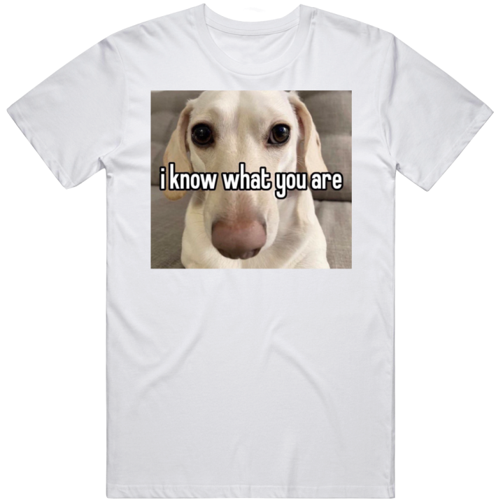 I Know What You Are Dog Meme T Shirt