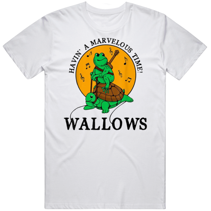 Wallows Having A Marvelous Time Indie Band T Shirt