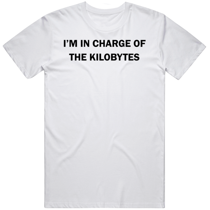 In Charge Of The Kilobytes Programmer Developer T Shirt