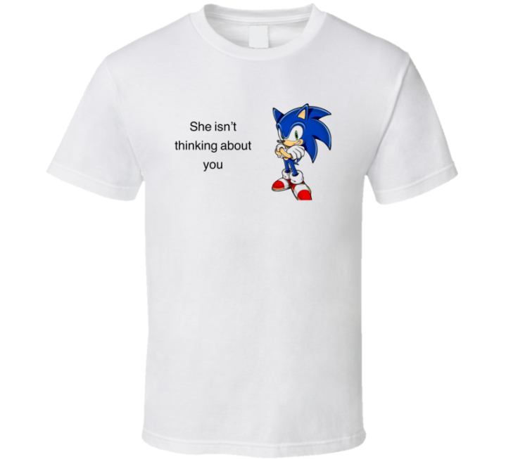 She Isn't Thinking About You Sonic Meme T Shirt