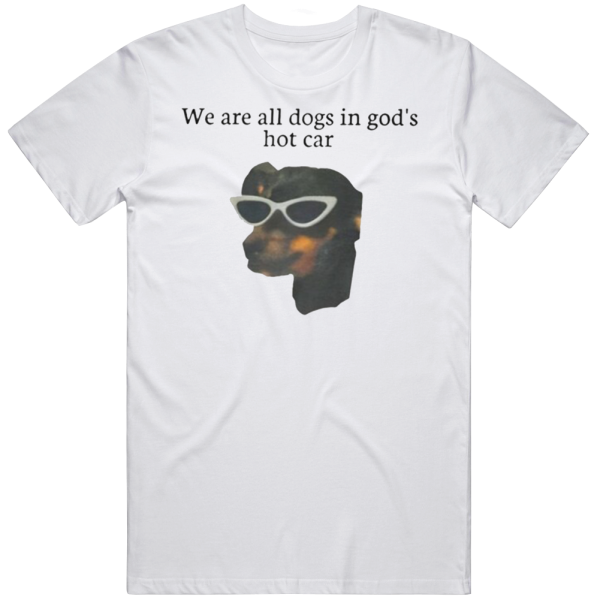 We Are All Dogs In God's Hot Car Meme T Shirt