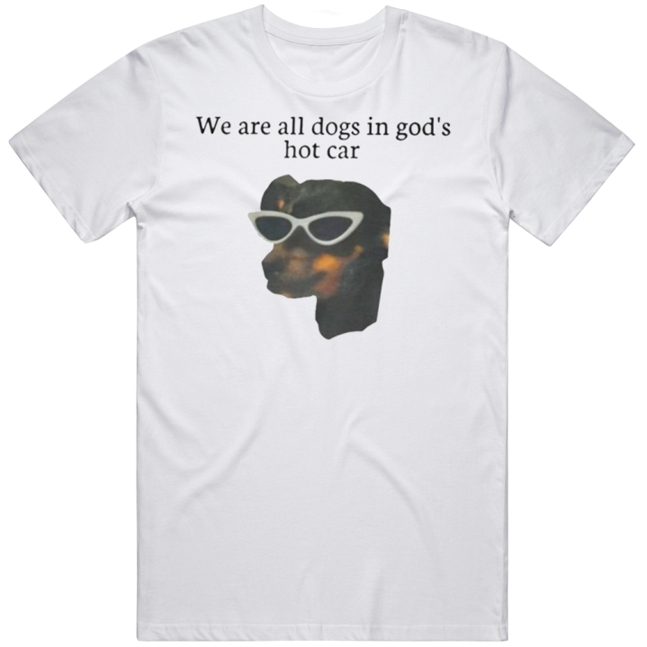 We Are All Dogs In God's Hot Car Meme T Shirt