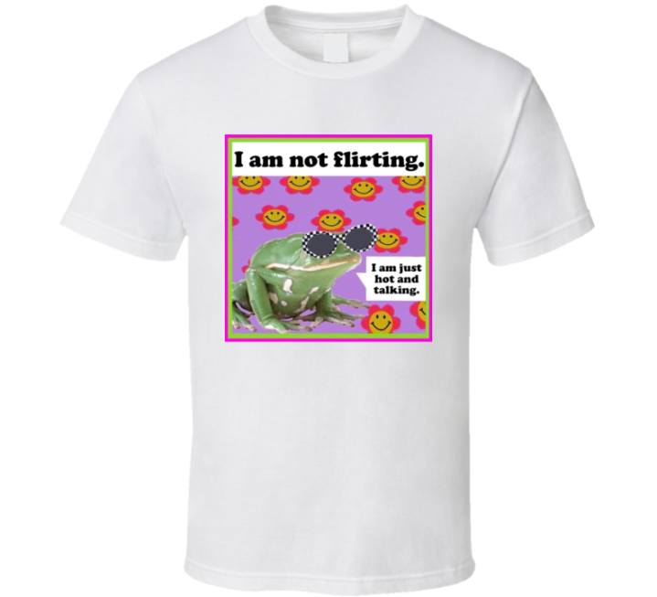 I Am Not Flirting I Am Just Hot And Talking Meme T Shirt