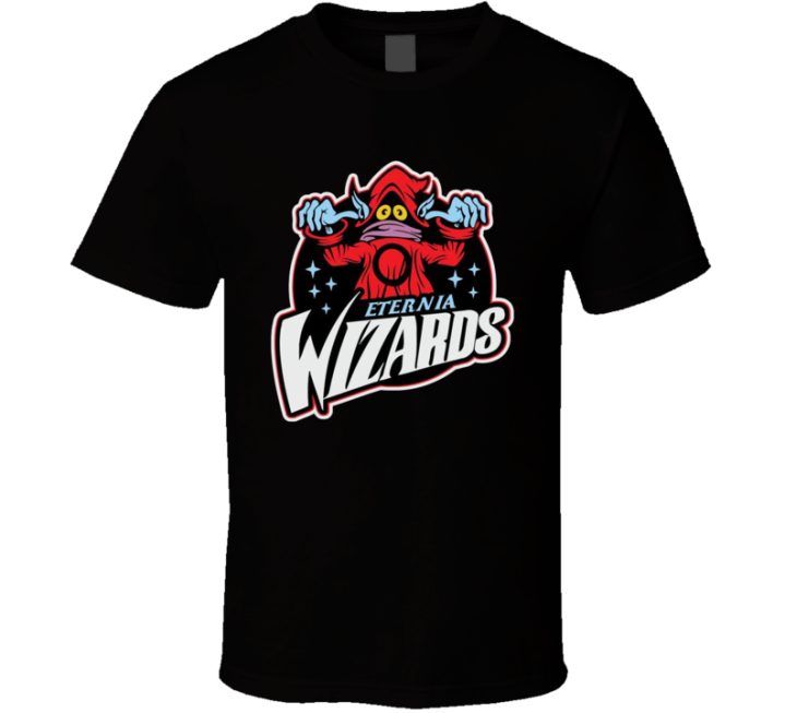 Eternia Wizards He Man Washington Basketball Parody T Shirt