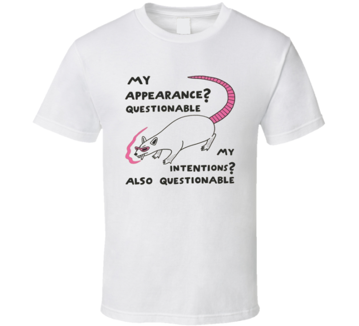 Appearance Intentions Questionable Meme T Shirt